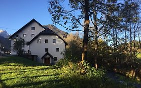 Youth Hostel Nika